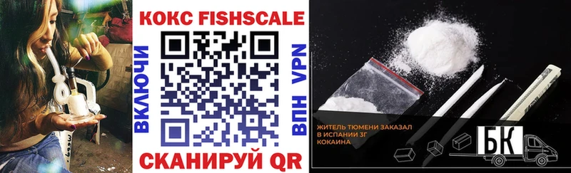 дарнет шоп  Калининск  COCAIN VHQ 