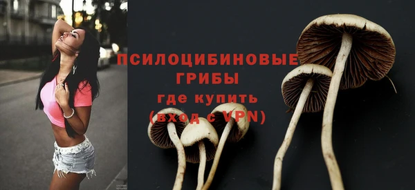 ALPHA-PVP Алексин