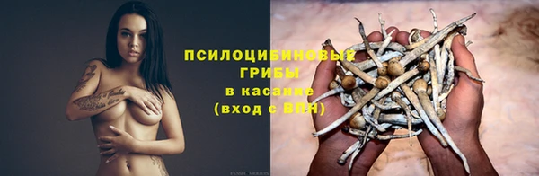 ALPHA-PVP Алексин