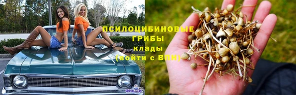 СК Алексеевка